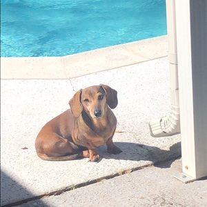 Meet your Posher, Kelley